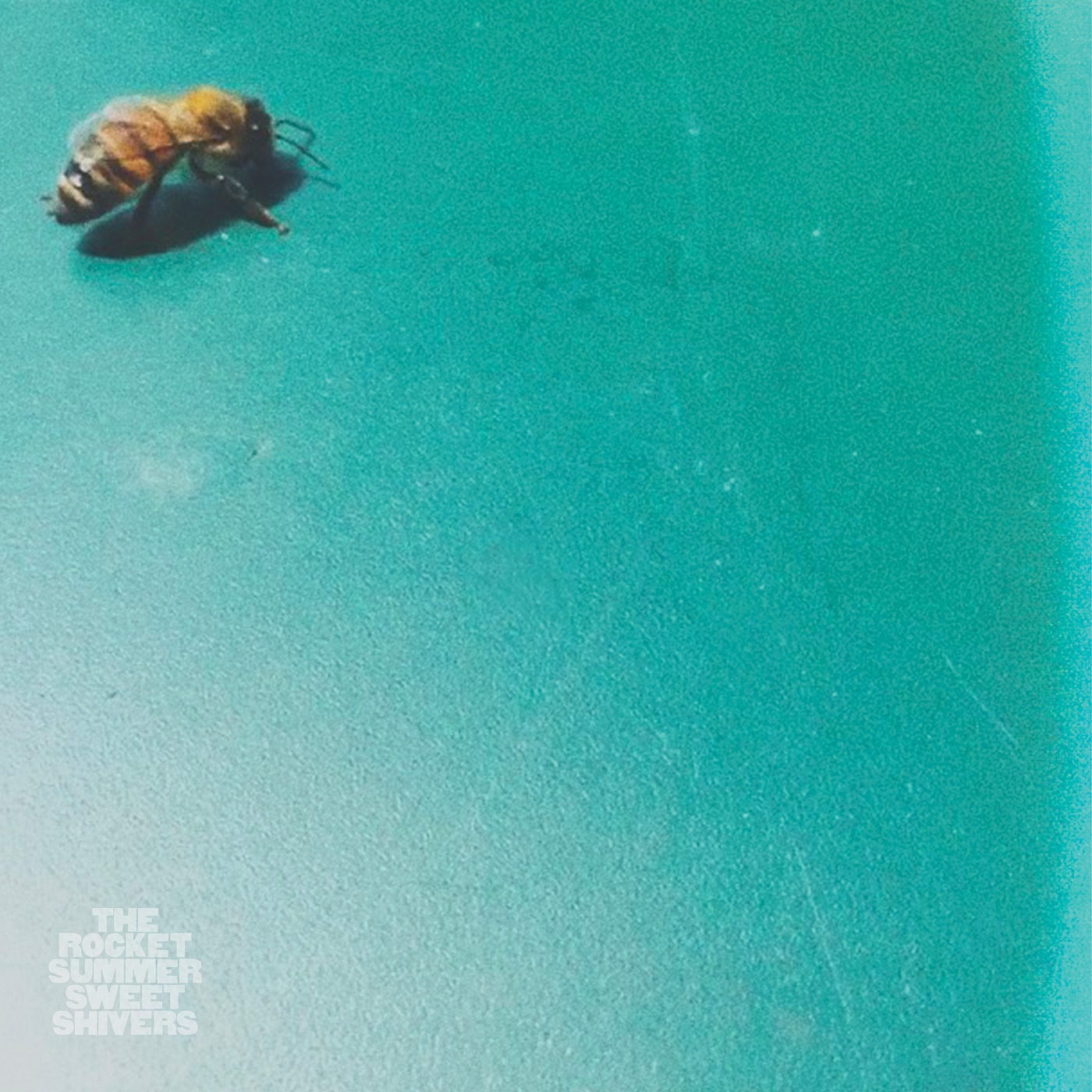 Sweet Shivers album cover