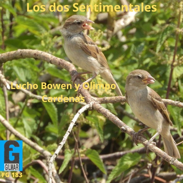 Los Dos Sentimentales album cover