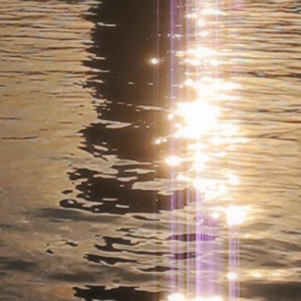 blissful lights - Single album cover