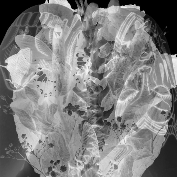 NEUROTICA album cover