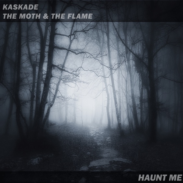 Haunt Me - Single album cover
