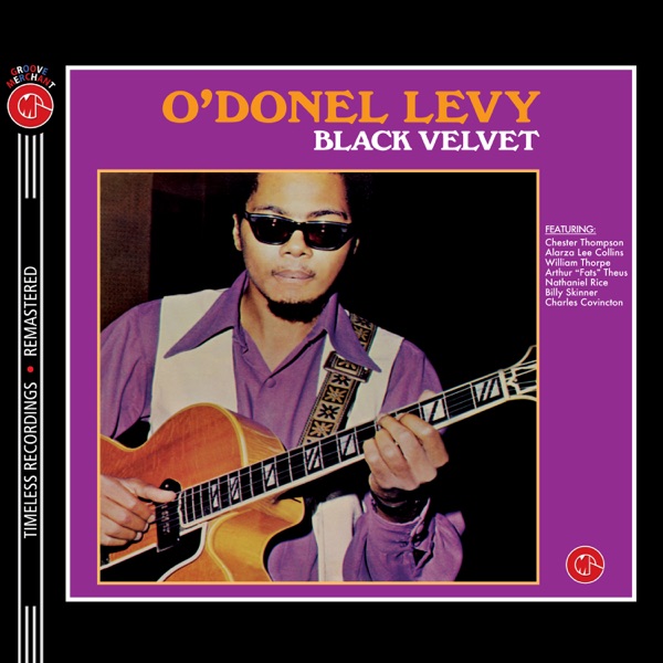 Black Velvet (2024 Remastered Version) album cover