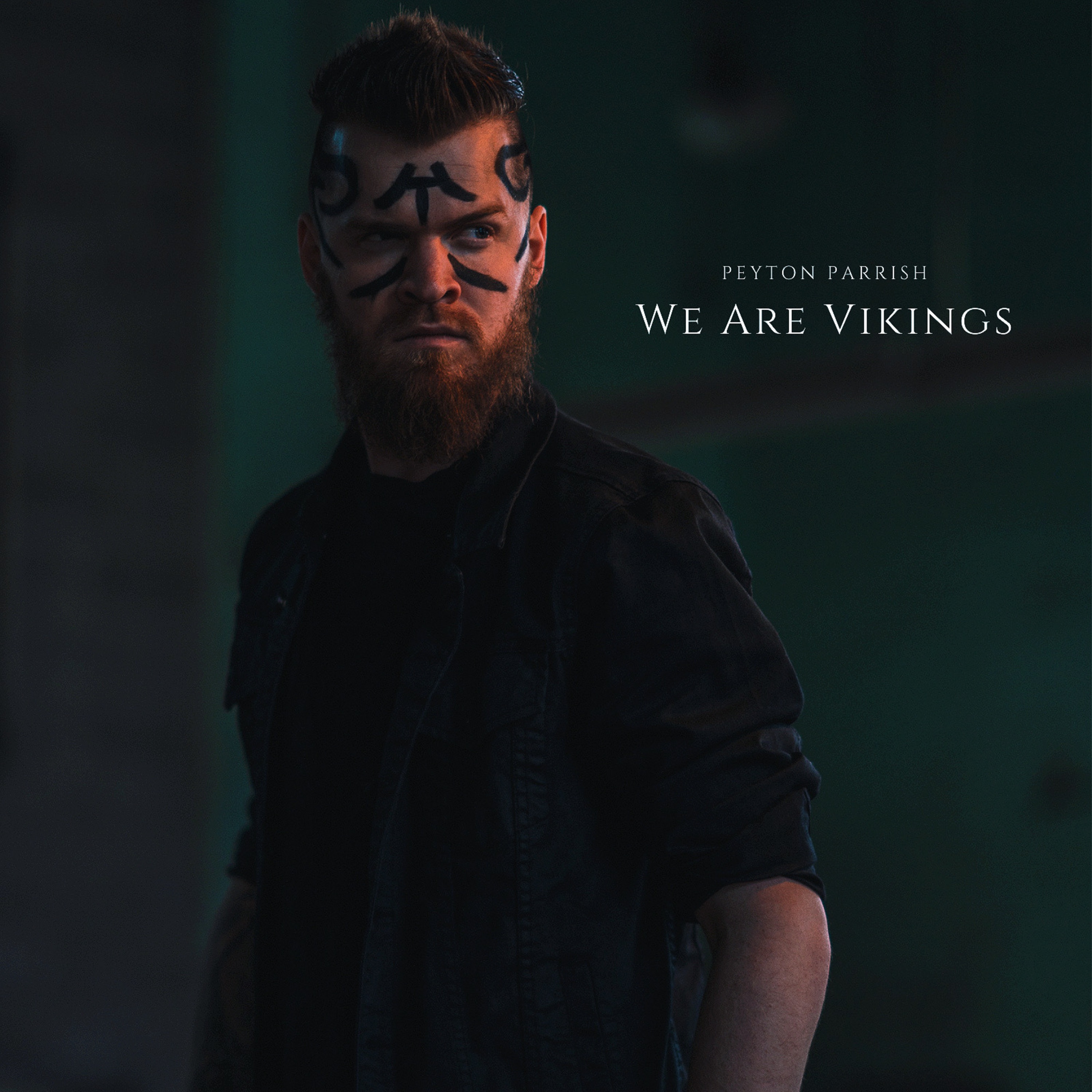 We Are Vikings - Single album cover