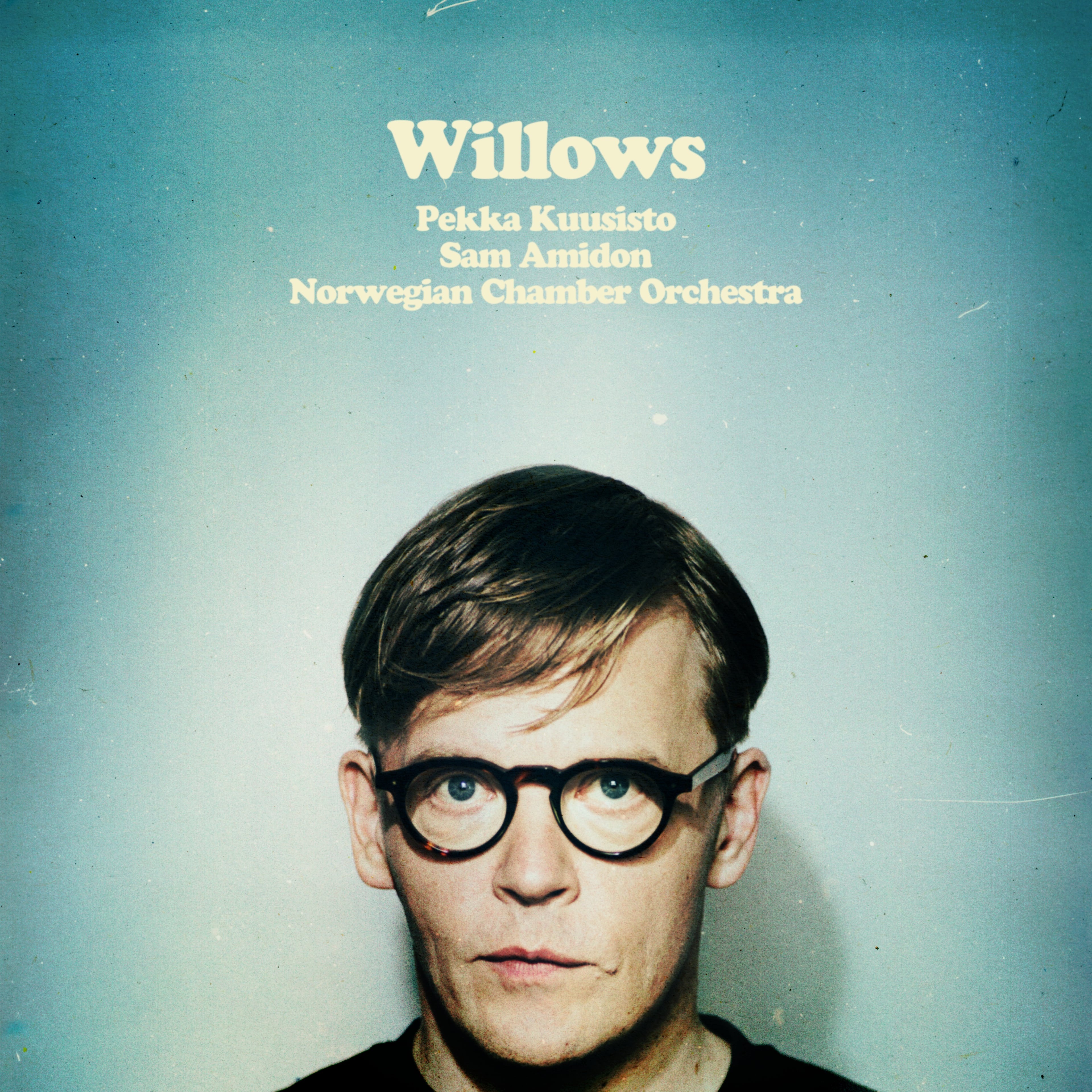 Willows album cover