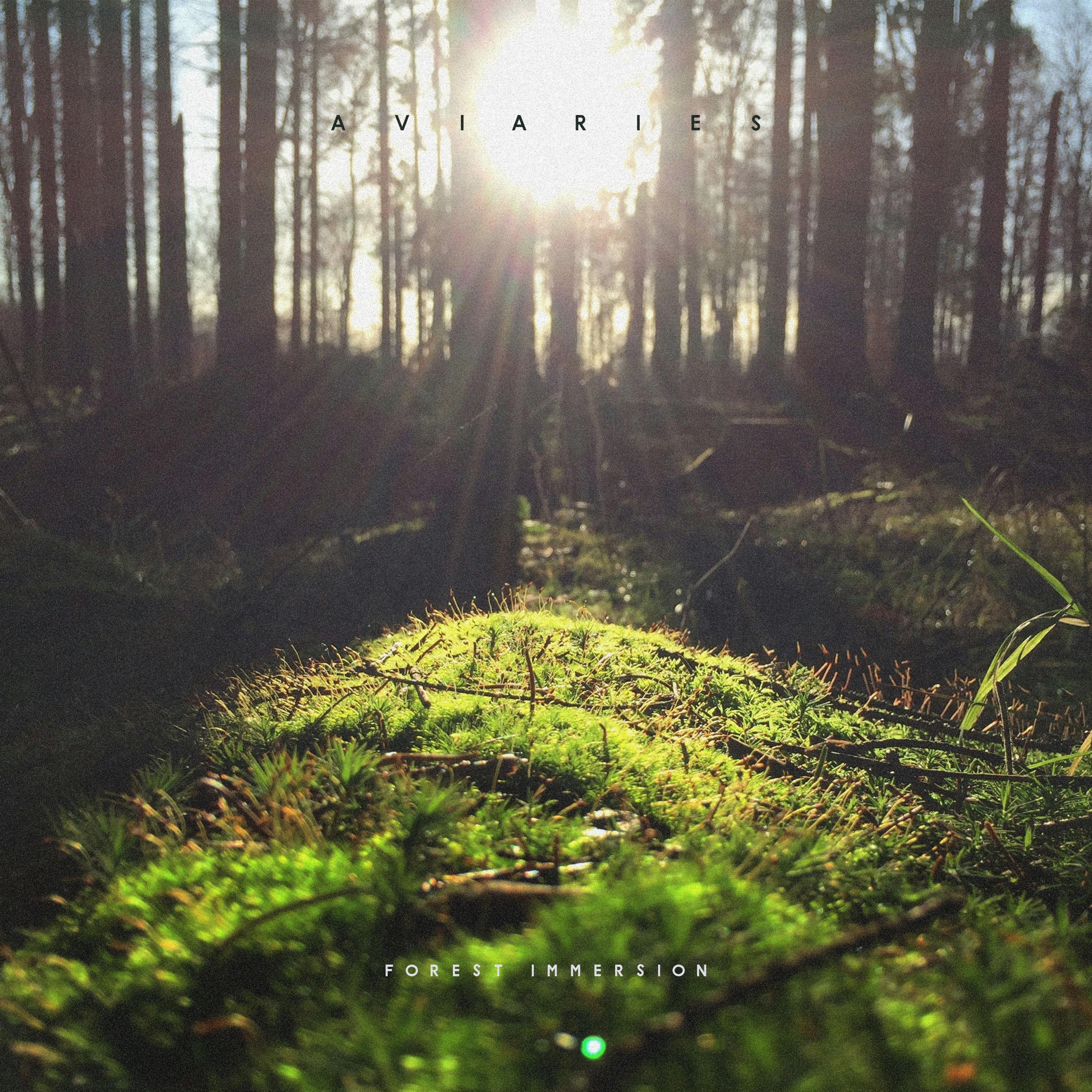 Forest Immersion - Single album cover