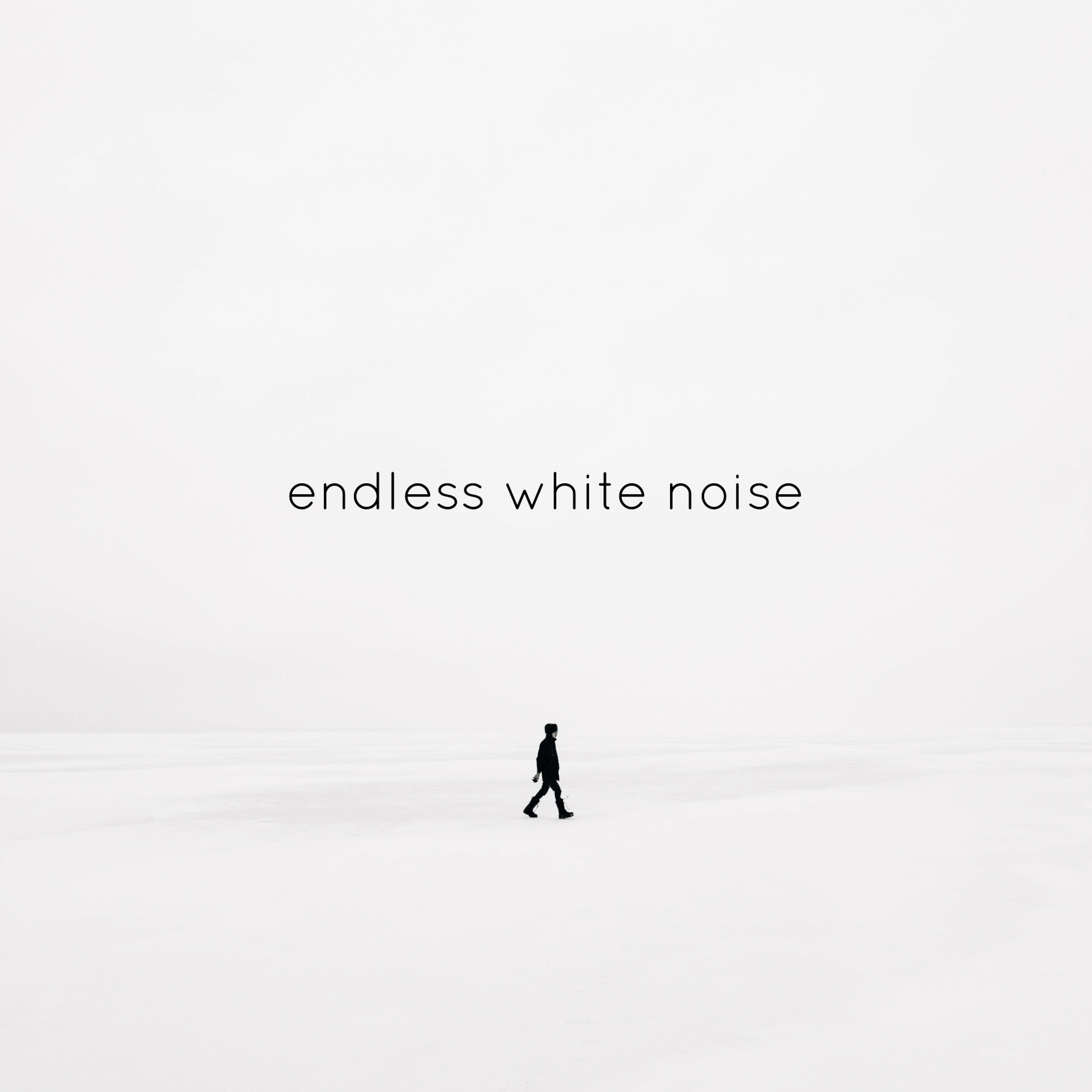 Endless White Noise - Single album cover