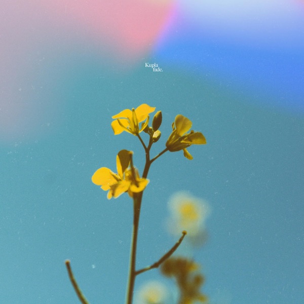 fade. - Single album cover