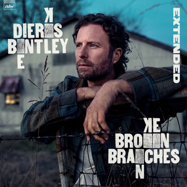 Broken Branches (Extended) album cover