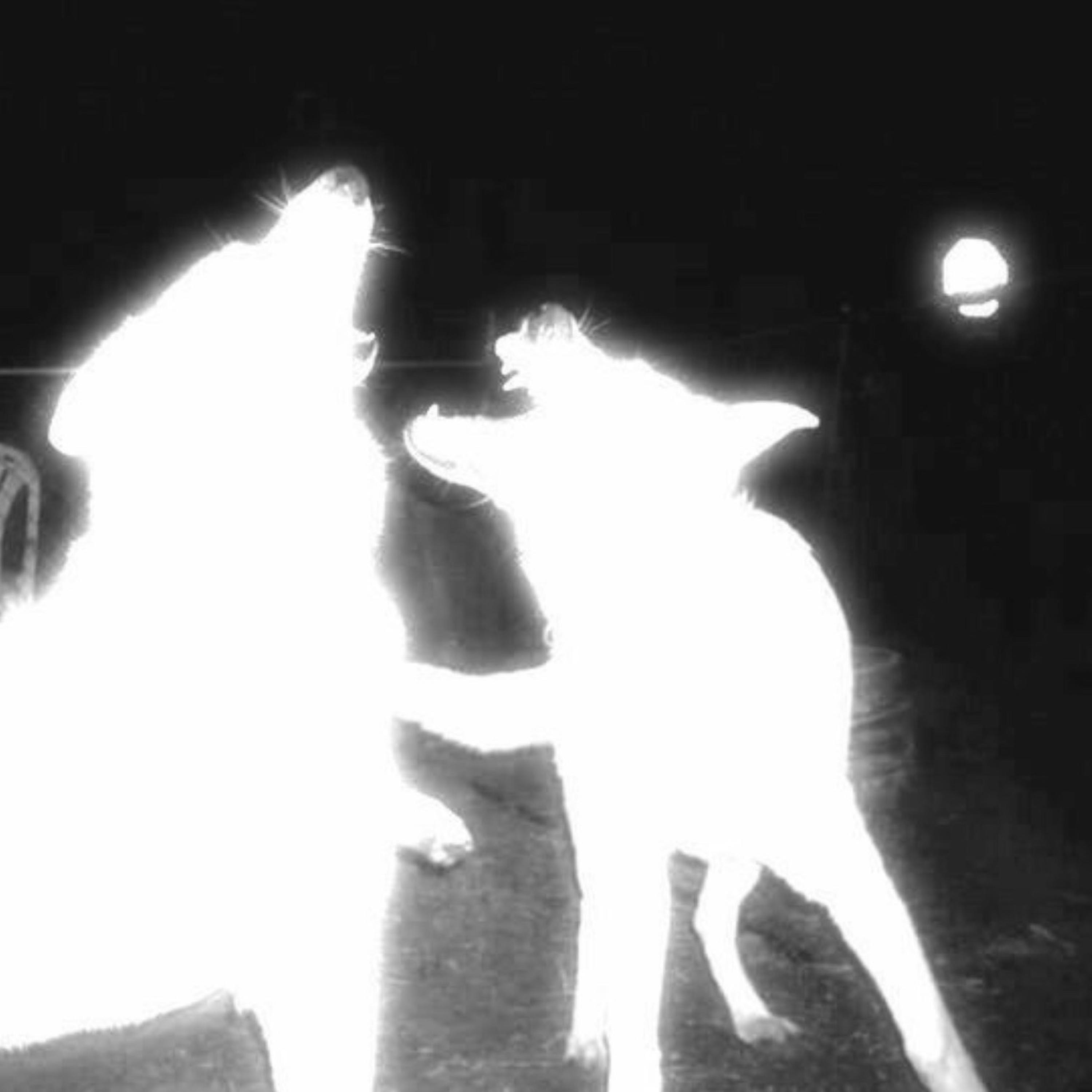 Pretty (feat. Yhapojj) - Single album cover