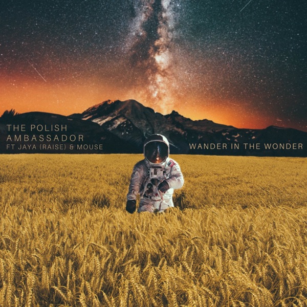 Wander in the Wonder (feat. JAYA (Raise) & Mouse) - Single album cover