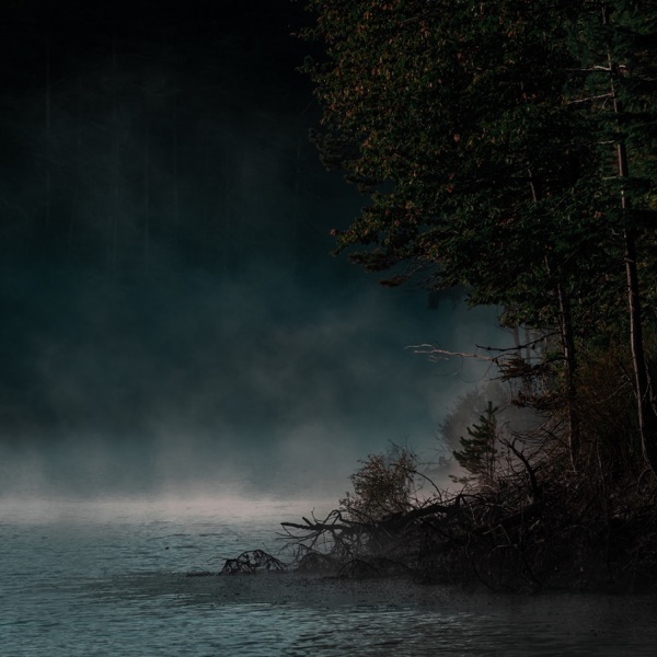 The Stillness album cover