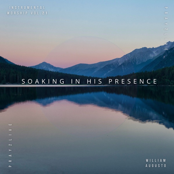 Soaking in His Presence, Vol. 21 album cover