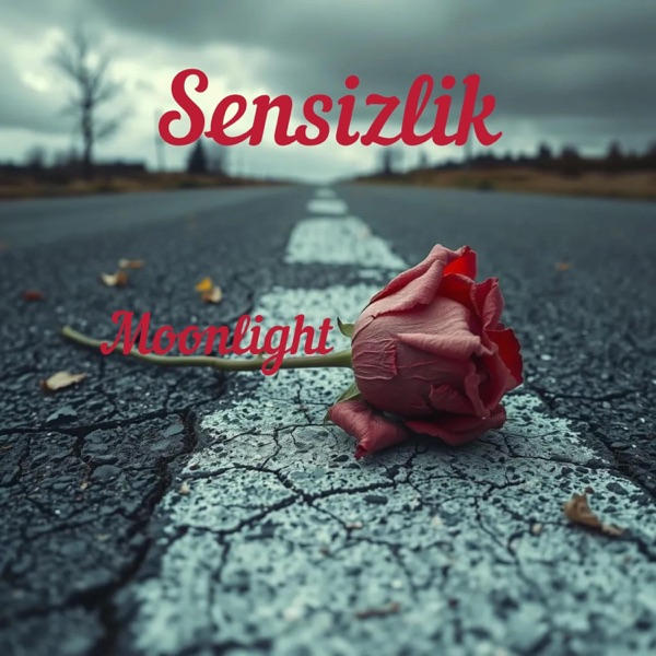 Sensizlik - Single album cover
