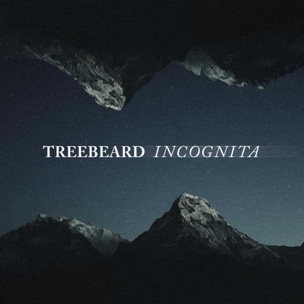 Incognita - Single album cover