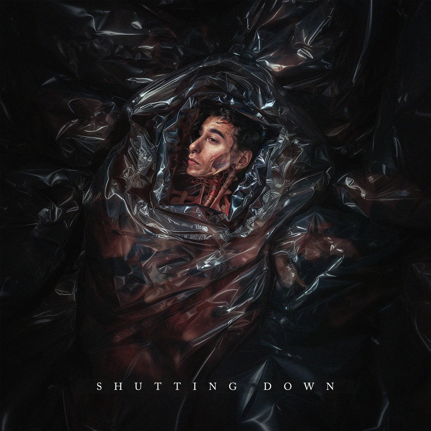 Shutting Down - Single album cover