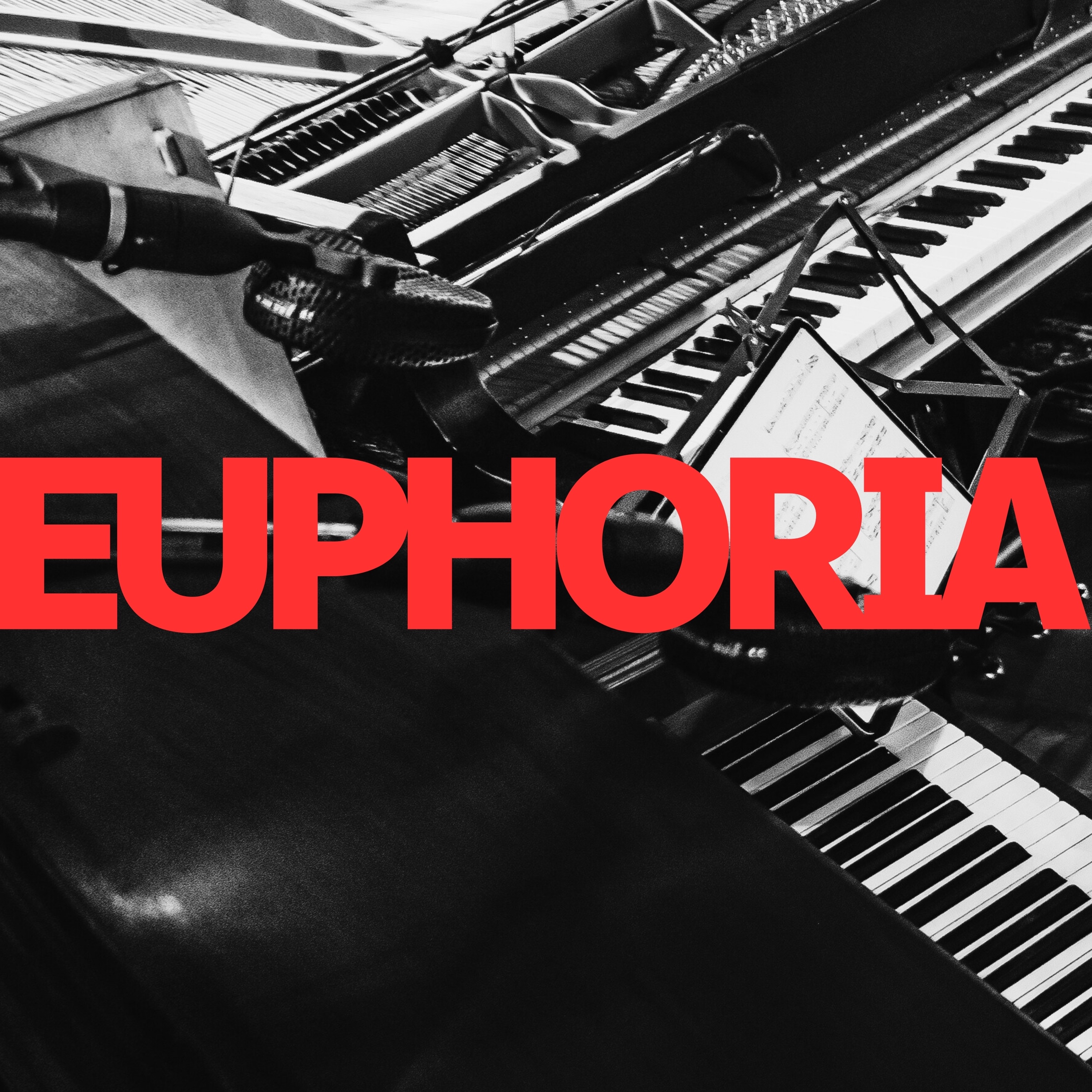 Euphoria - Single album cover