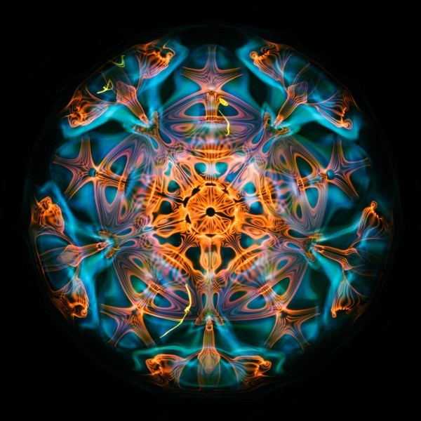 Ambient Journeys, Vol. 1 (La Selva) album cover