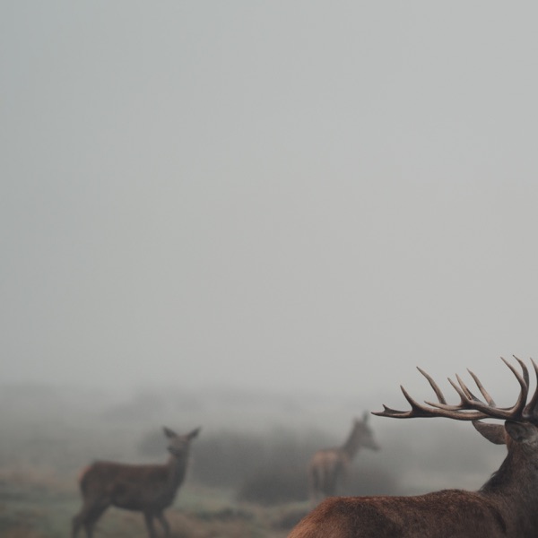 Vessels - EP album cover