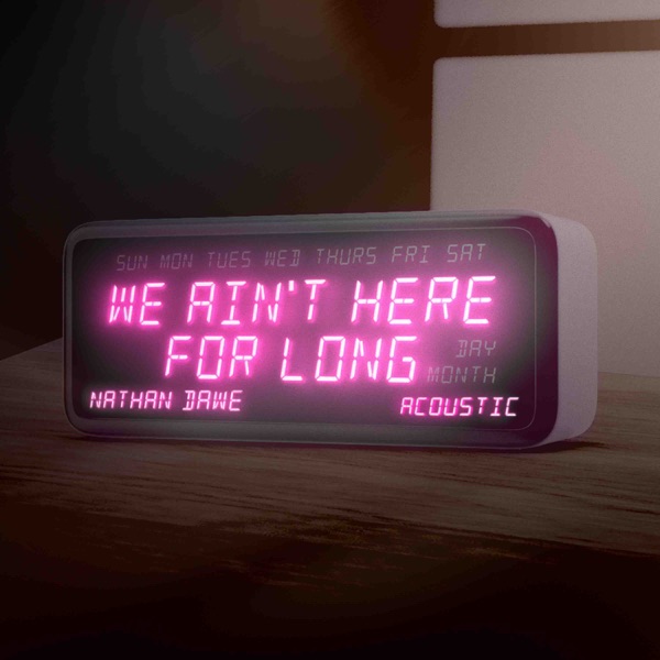 We Ain't Here For Long (Acoustic) - Single album cover