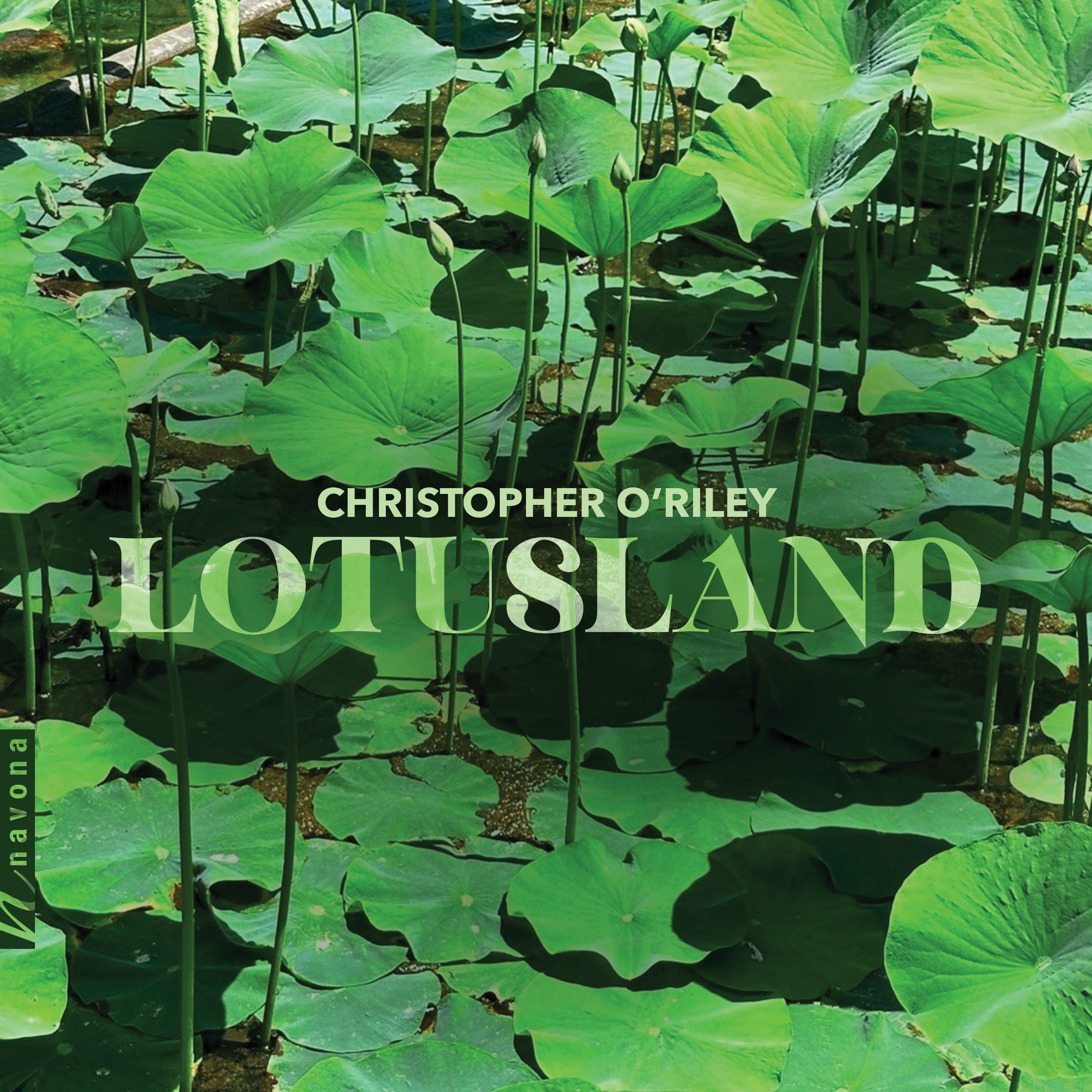 Lotusland album cover