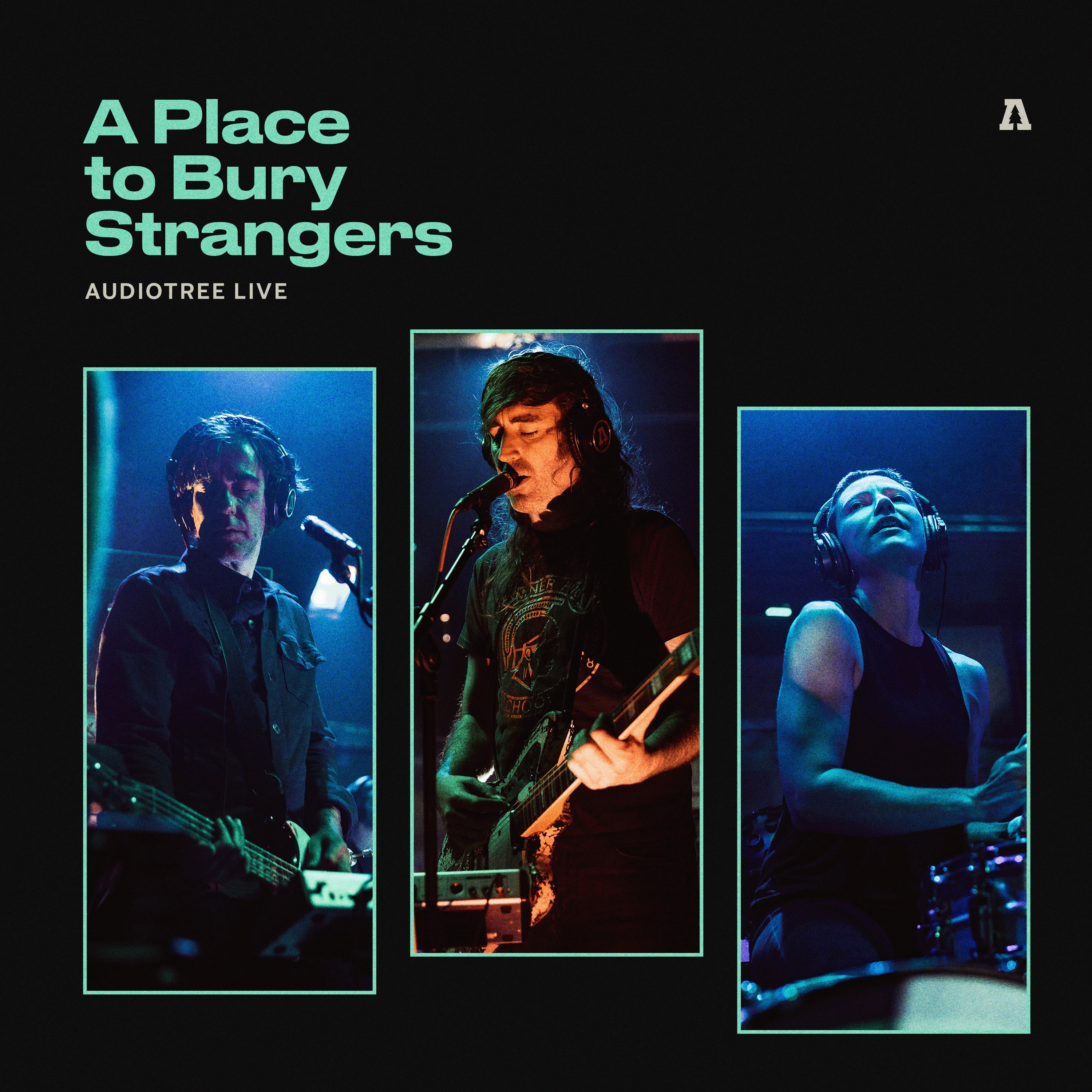 A Place to Bury Strangers (Audiotree Live) album cover