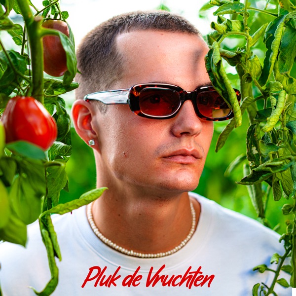 PLUK DE VRUCHTEN - Single album cover