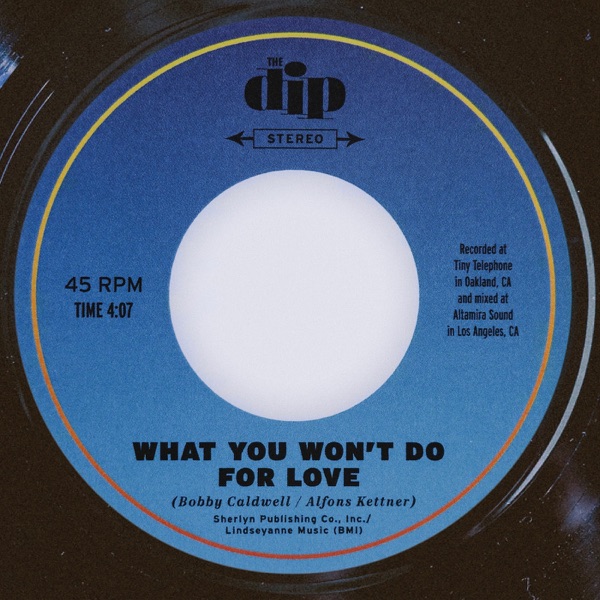 What You Won't Do for Love - Single album cover
