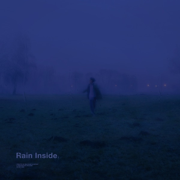 rain inside (Remixes) - Single album cover