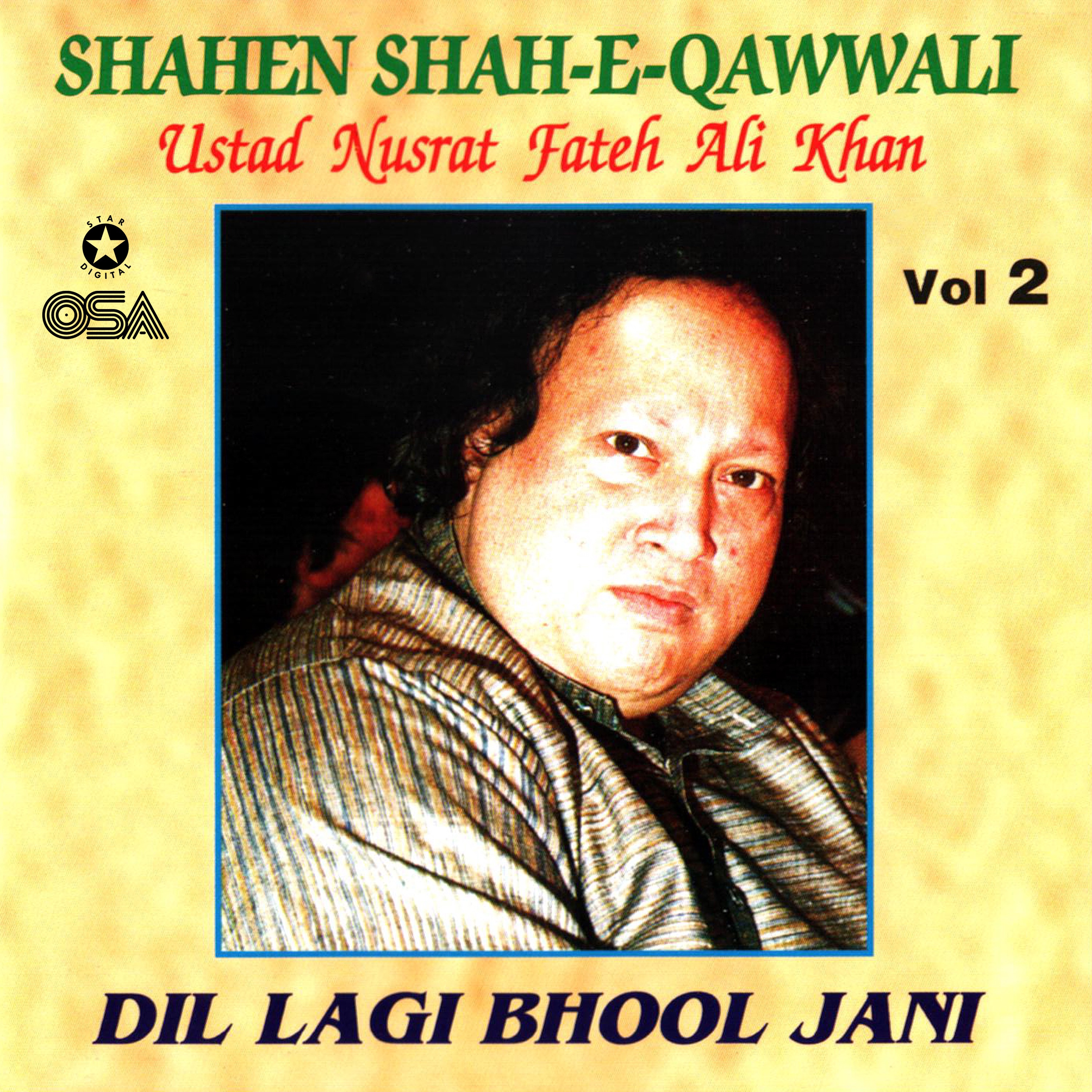 Dil Lagi Bhool Jani, Vol. 2 album cover