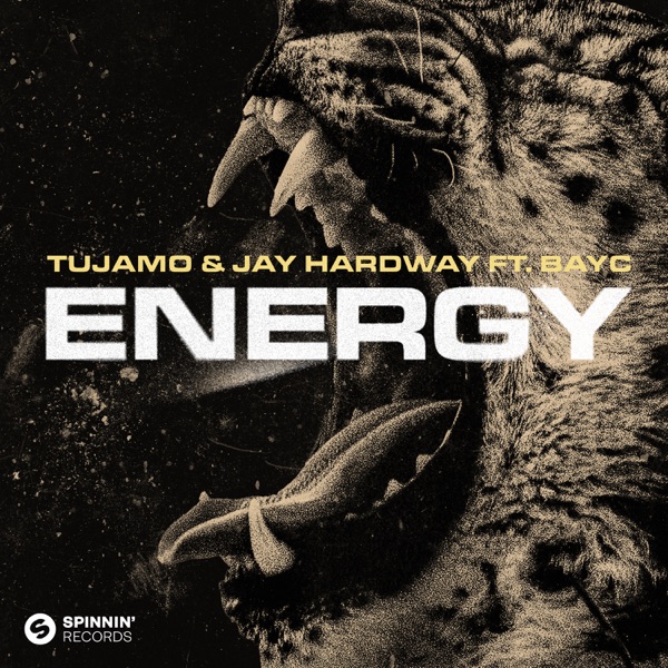 Energy (feat. Bay-C) [Extended Mix] - Single album cover