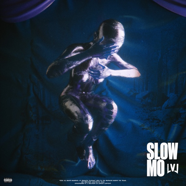 slowmo (Radio Edit) [feat. Sanka] - Single album cover