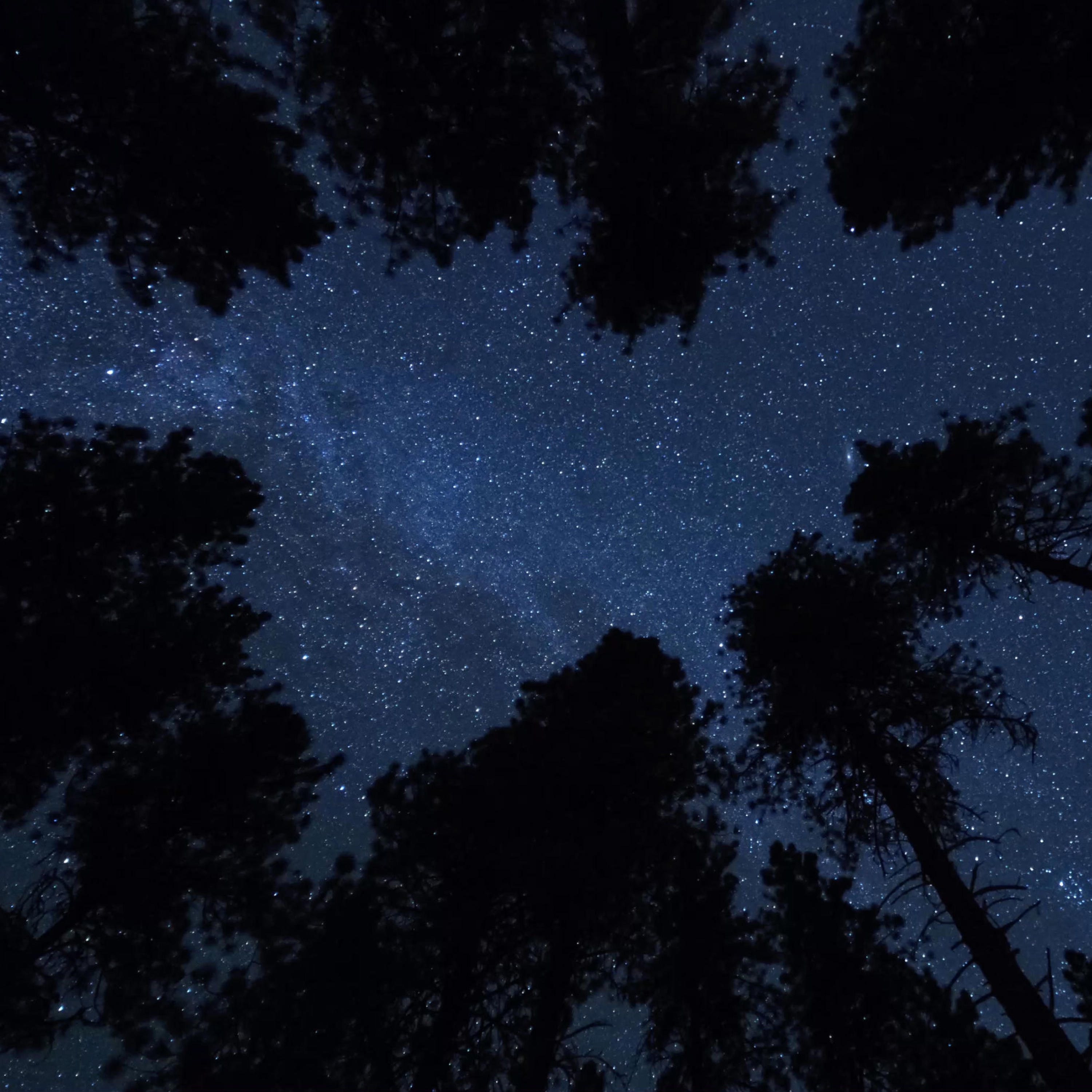 A Message from the Stars (Edits) - Single album cover