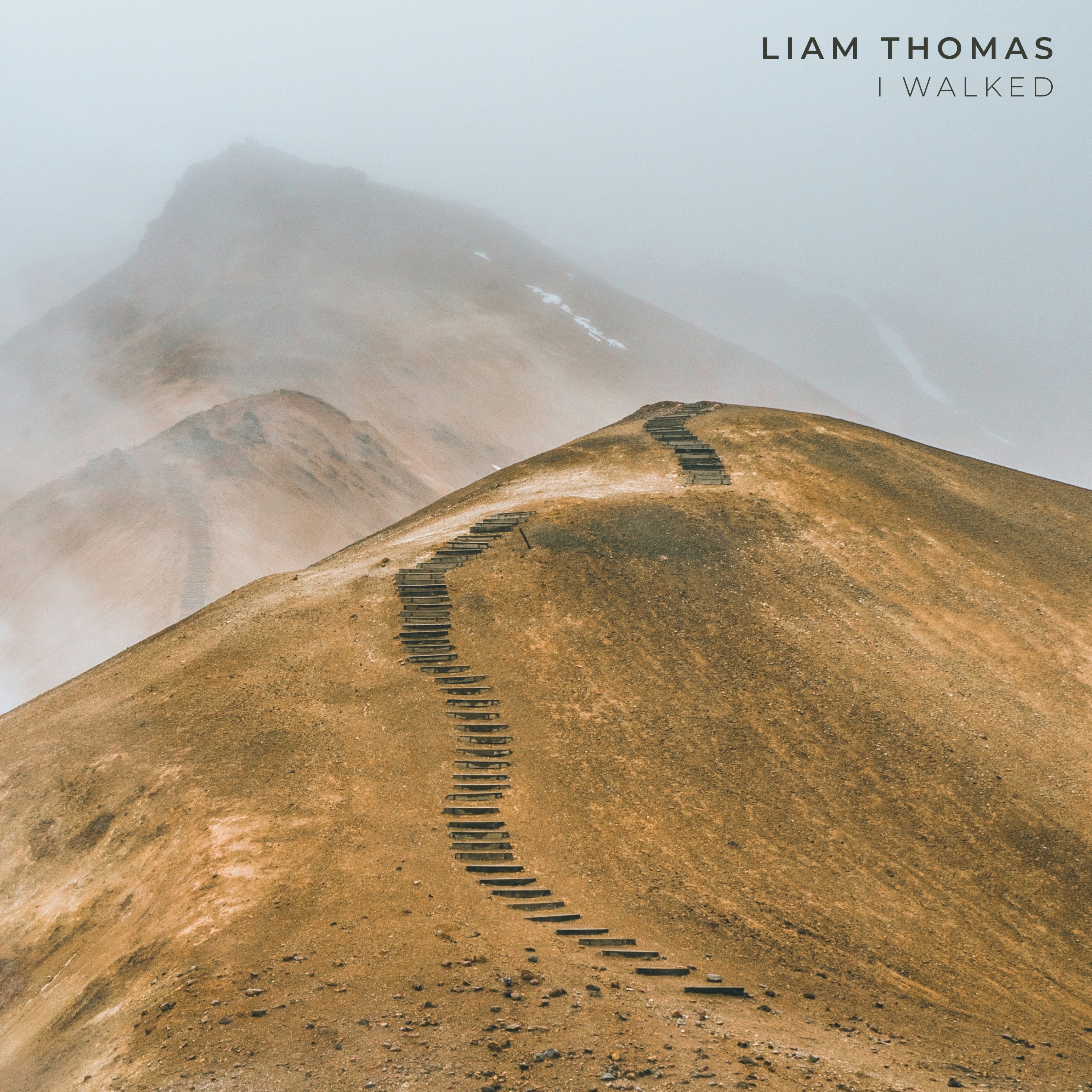 I Walked - Single album cover