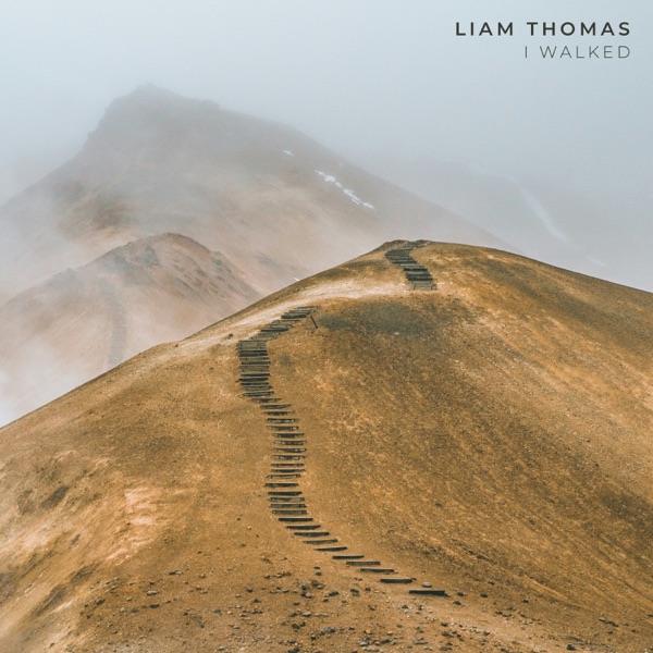 I Walked - Single album cover