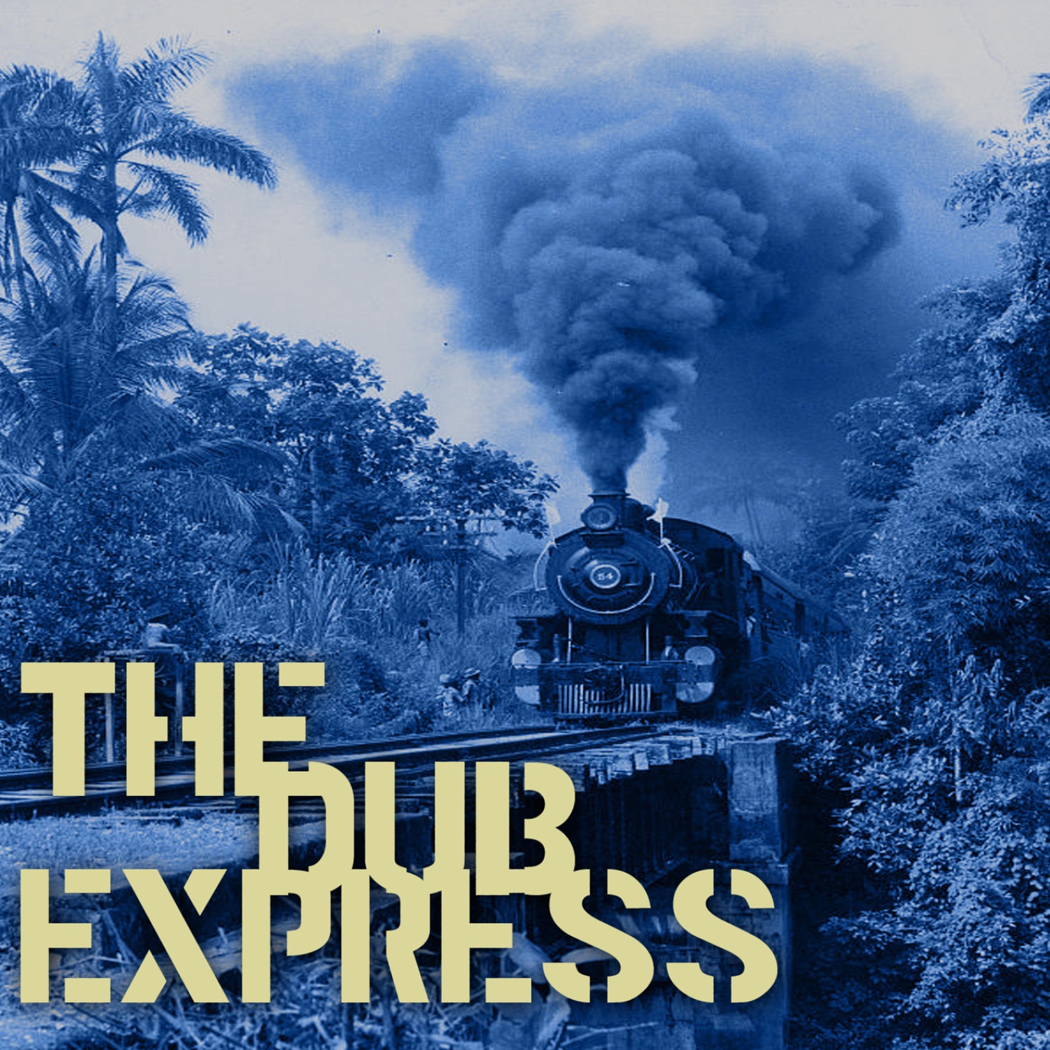 The Dub Express Vol 6 Platinum Edition album cover