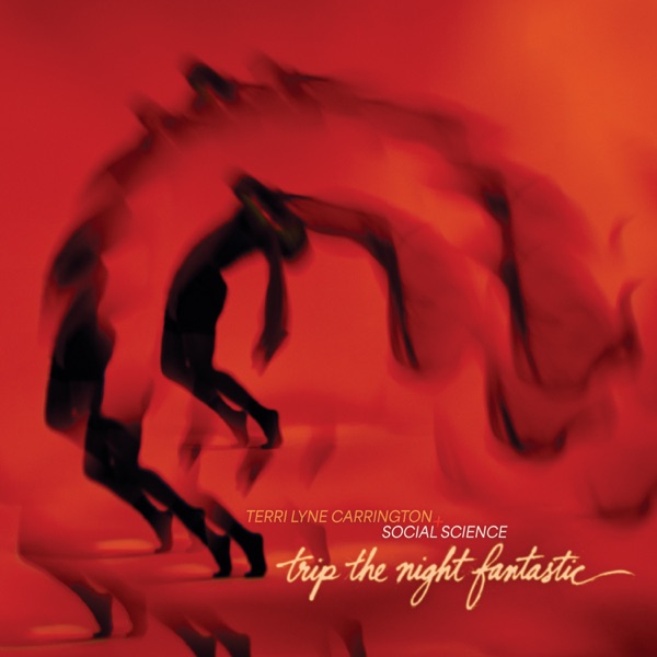 Trip the Night Fantastic album cover