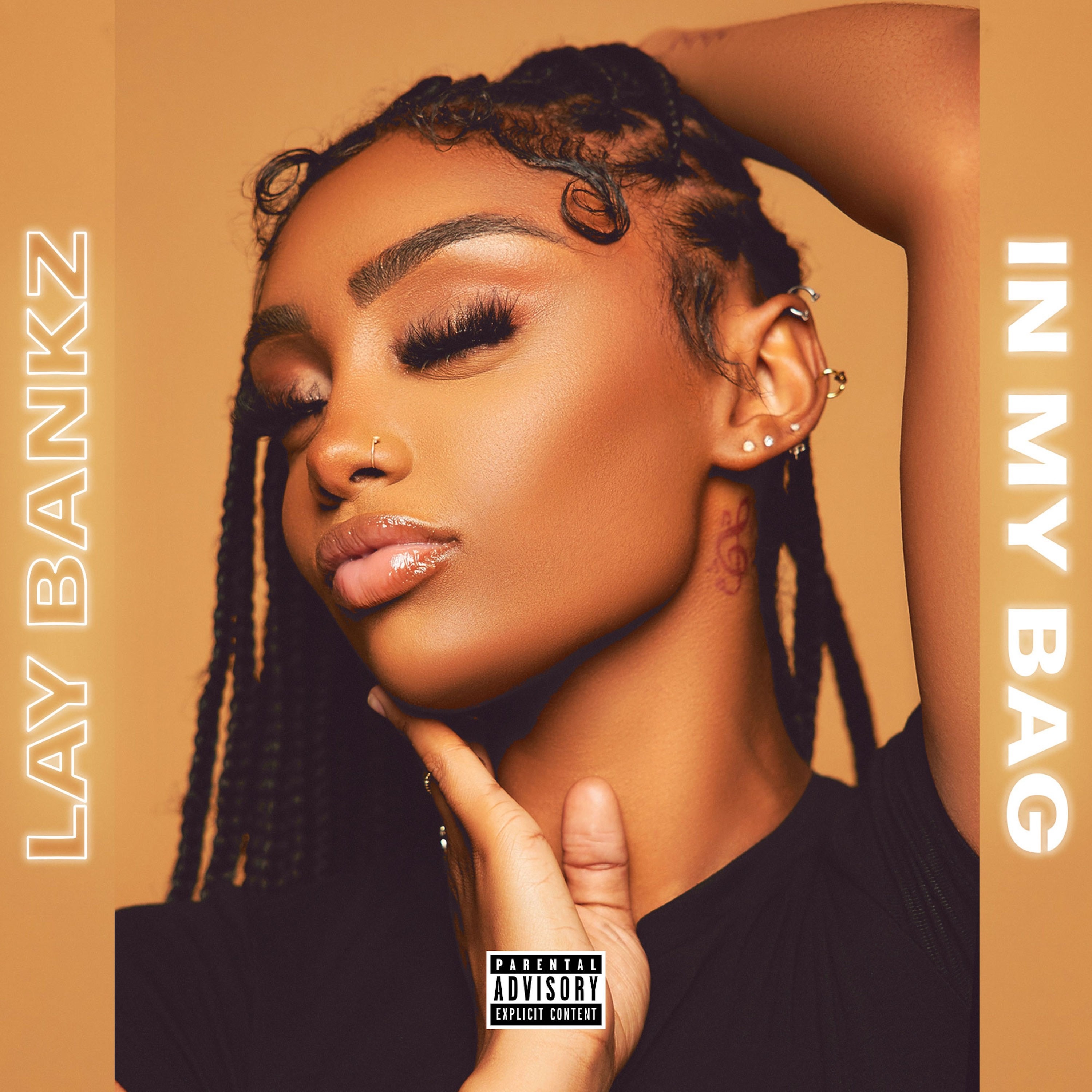 In My Bag - Single album cover