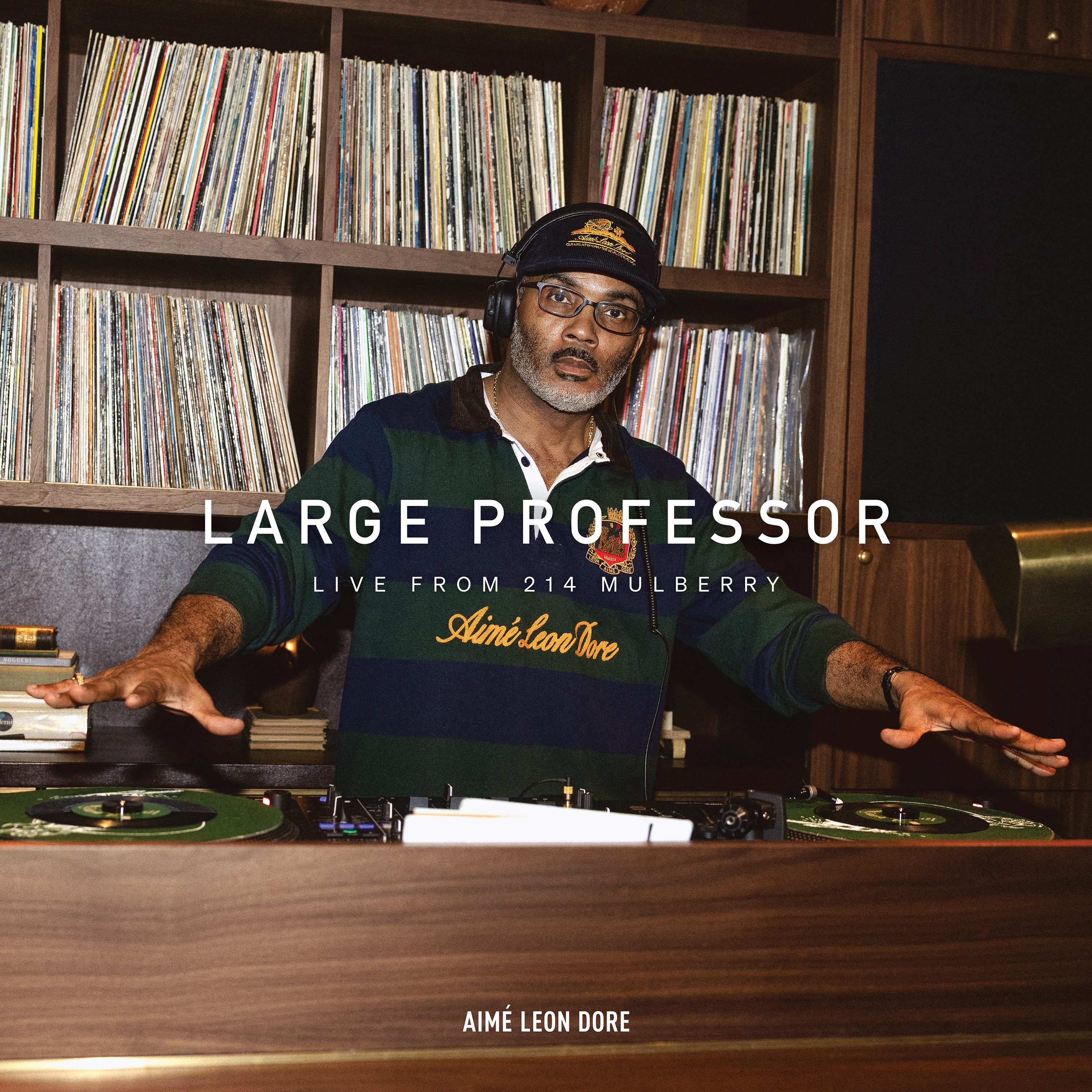 Large Professor at 214 Mulberry (DJ Mix) album cover