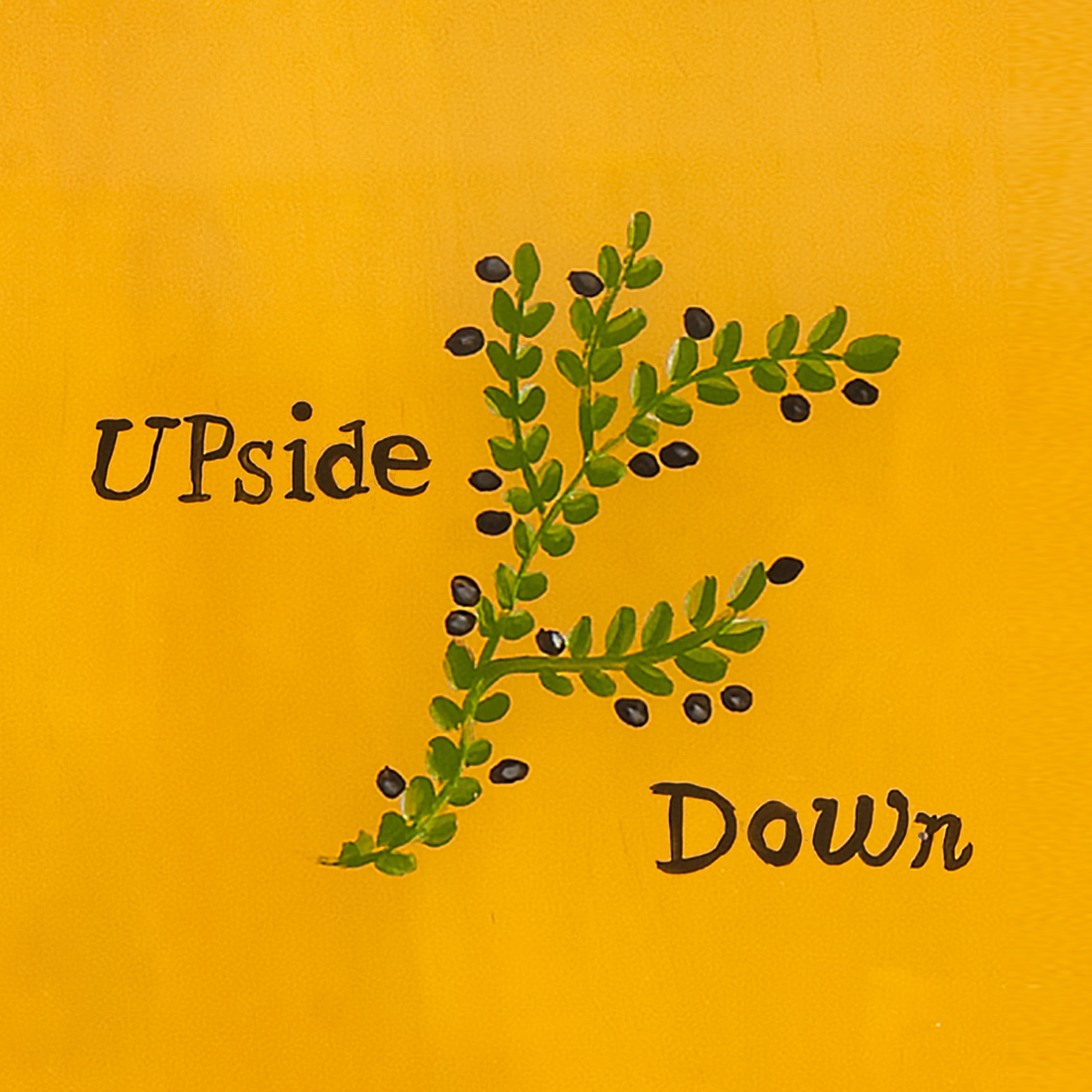 Upside Down - Single album cover