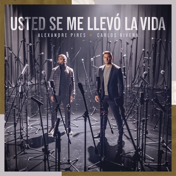Usted Se Me Llevó la Vida - Single album cover