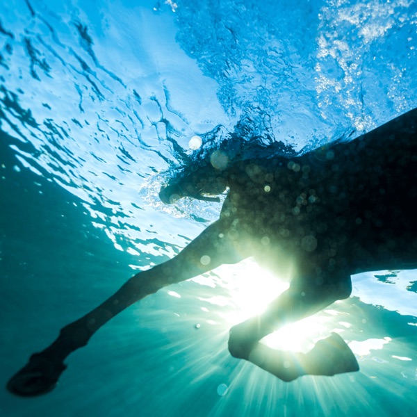 You Wish album cover