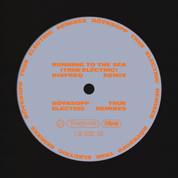 Running To The Sea (Disfreq Remix) [feat. Susanne Sundfør] - Single album cover