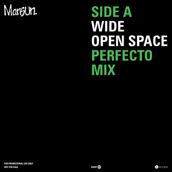 Wide Open Space (Perfecto Mix) - Single album cover
