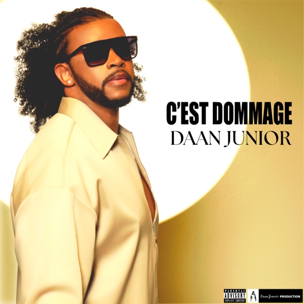 C'est dommage album cover