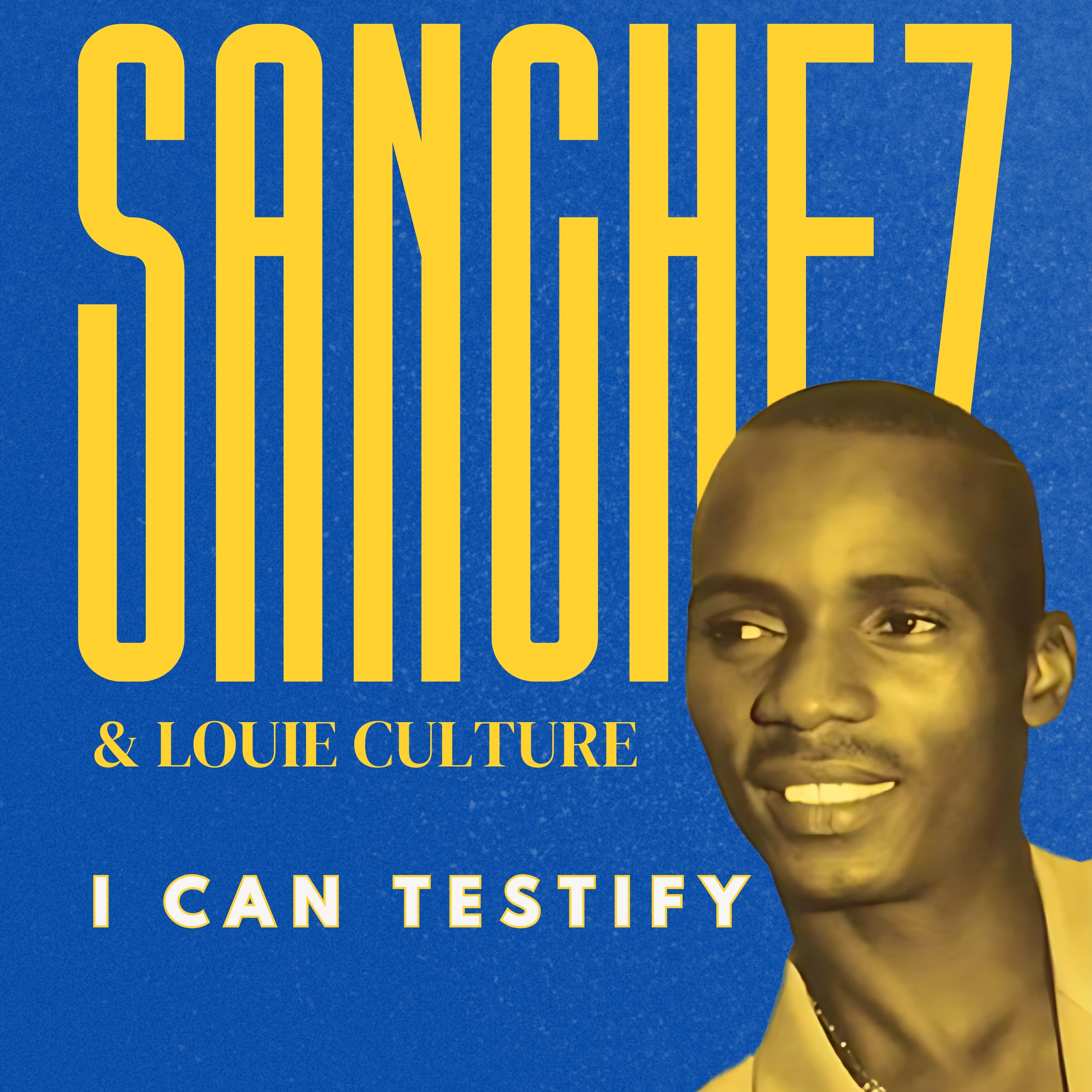 I Can Testify (feat. Louie Culture) - Single album cover
