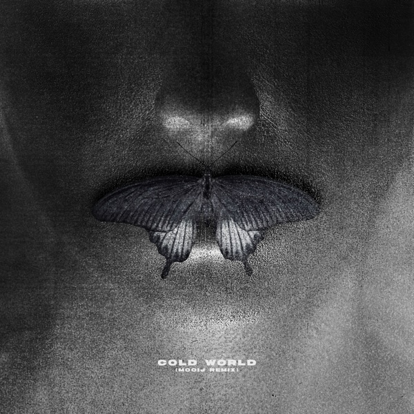 Cold World (Mooij Remix) - Single album cover