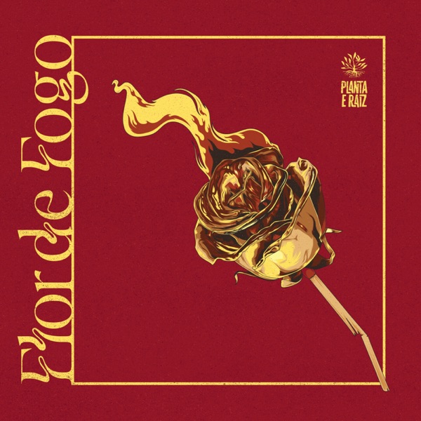 Flor de Fogo album cover