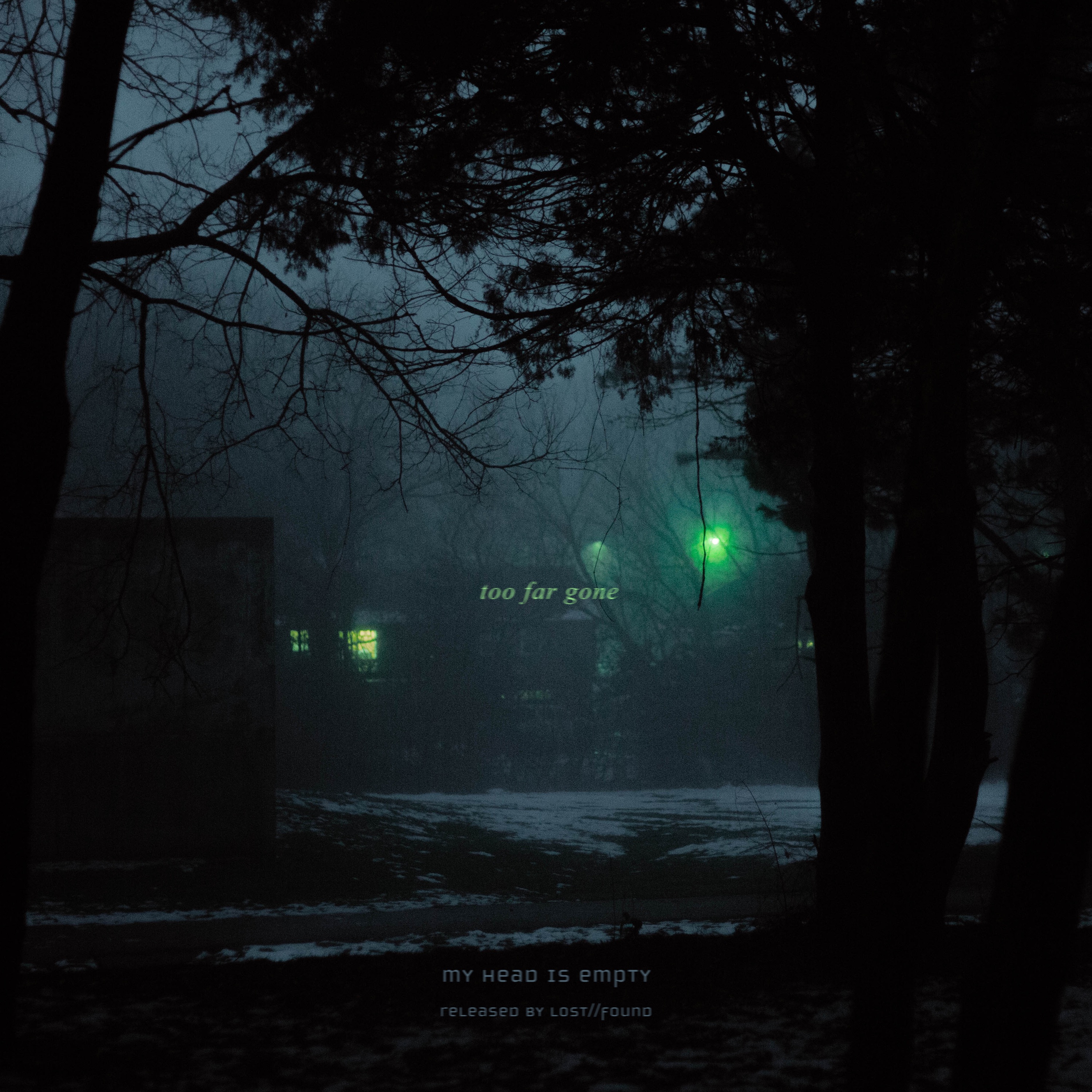 Too Far Gone - Single album cover