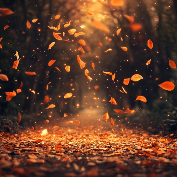 Autumn Jazz album cover