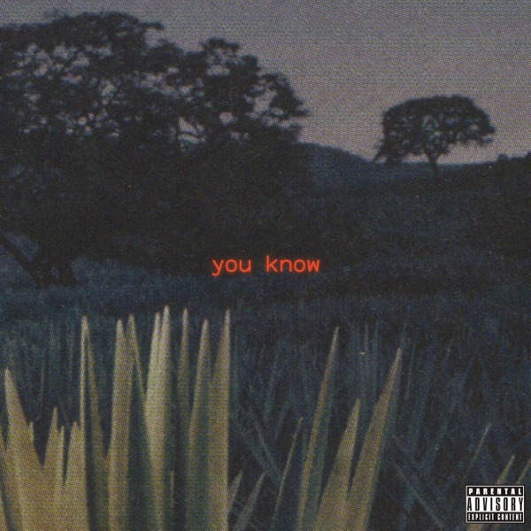 you know - Single album cover